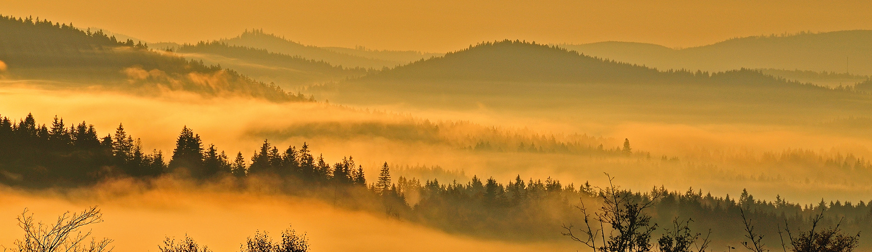 Sonne und Nebel