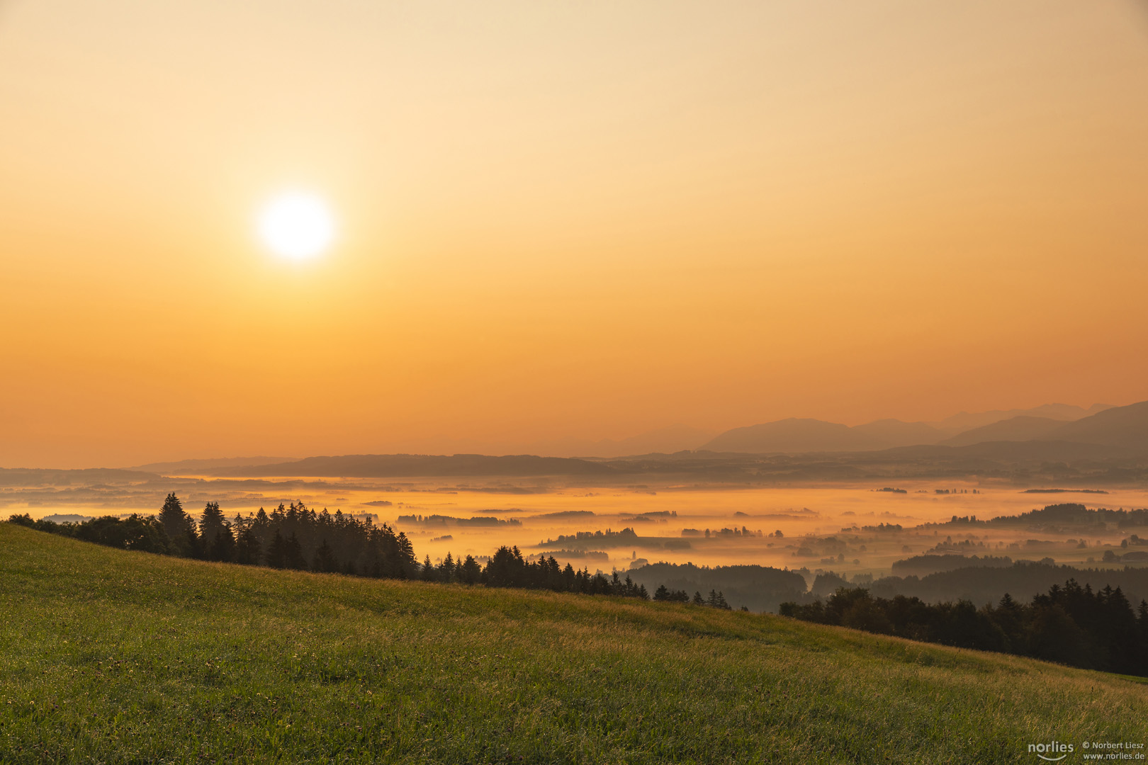 Sonne und Nebel