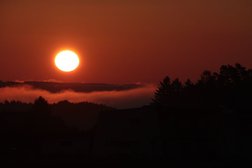 Sonne und Nebel