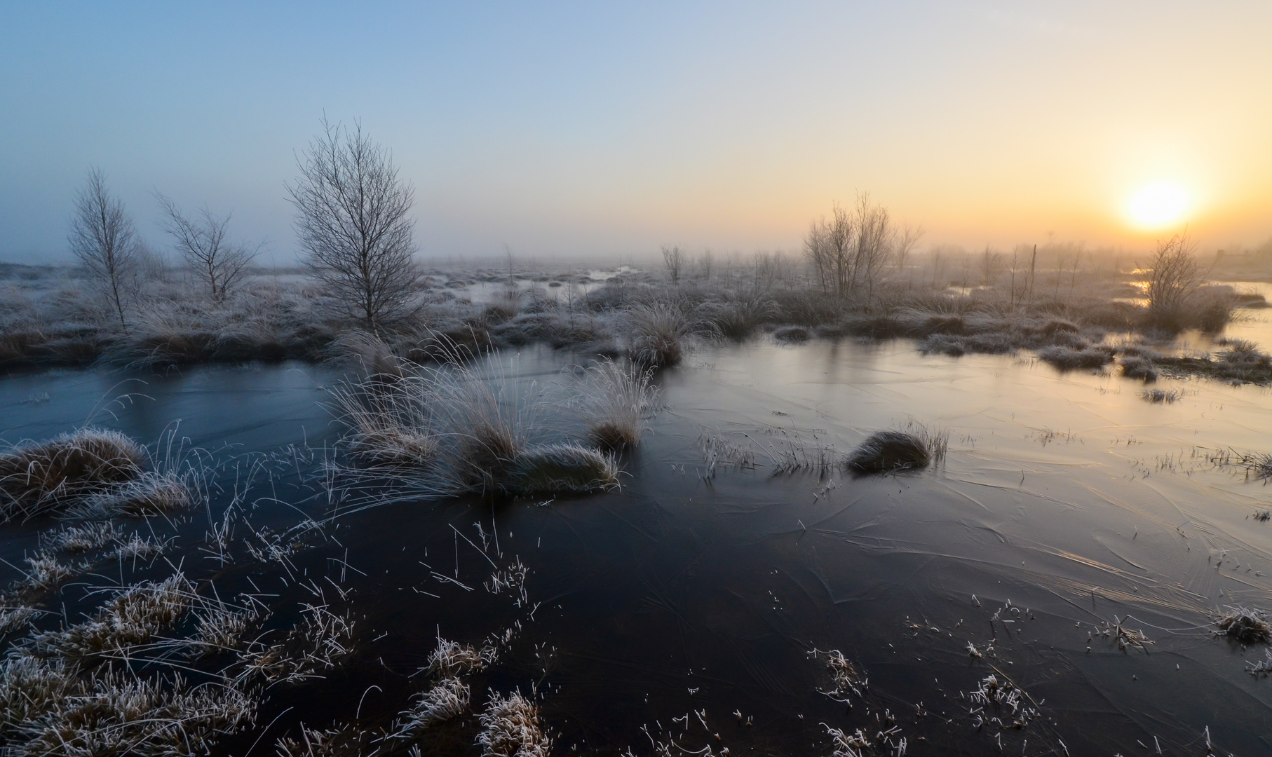 Sonne und Nebel