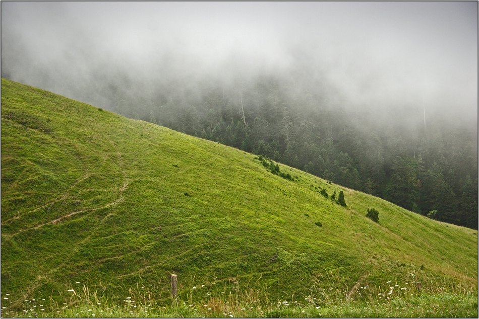 Sonne und Nebel