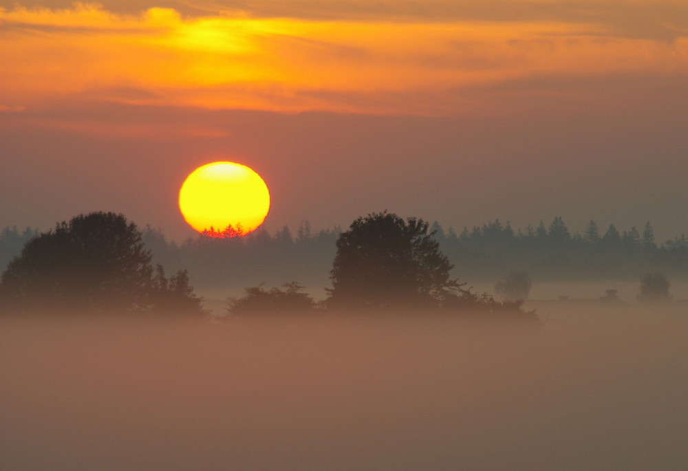 Sonne und Nebel