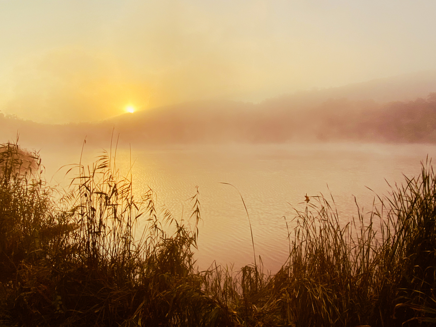 Sonne und Nebel