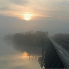 Sonne und Nebel am Federsee