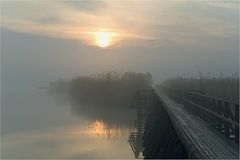 Sonne und Nebel am Federsee