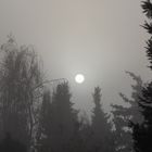 Sonne und Nebel am Morgen