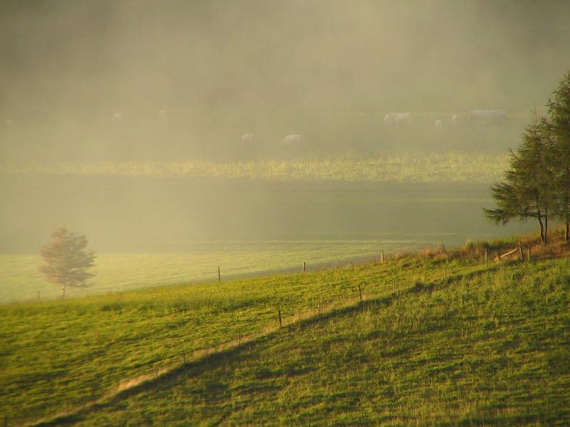 Sonne und Nebel