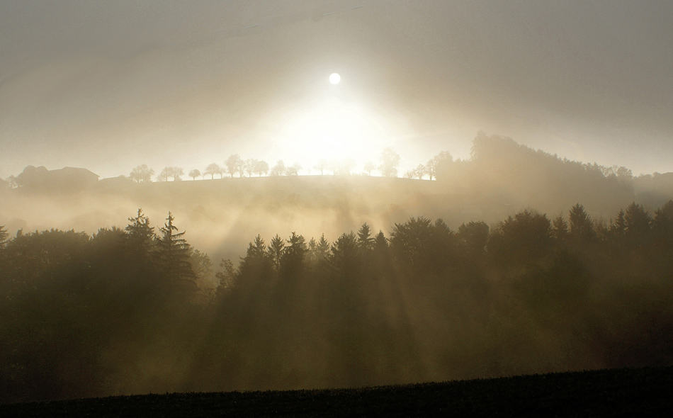 Sonne und Nebel