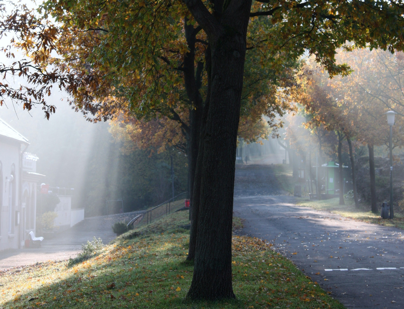 Sonne und Nebel