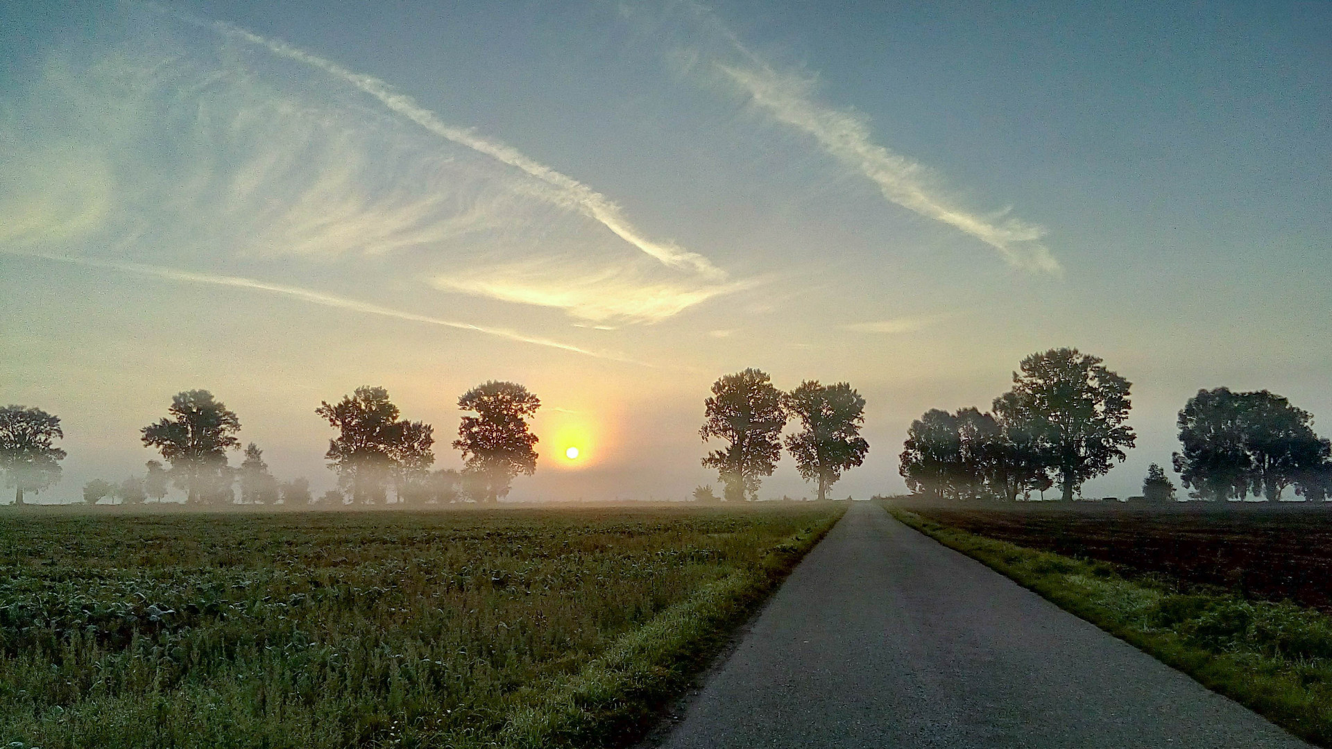 Sonne und Nebel