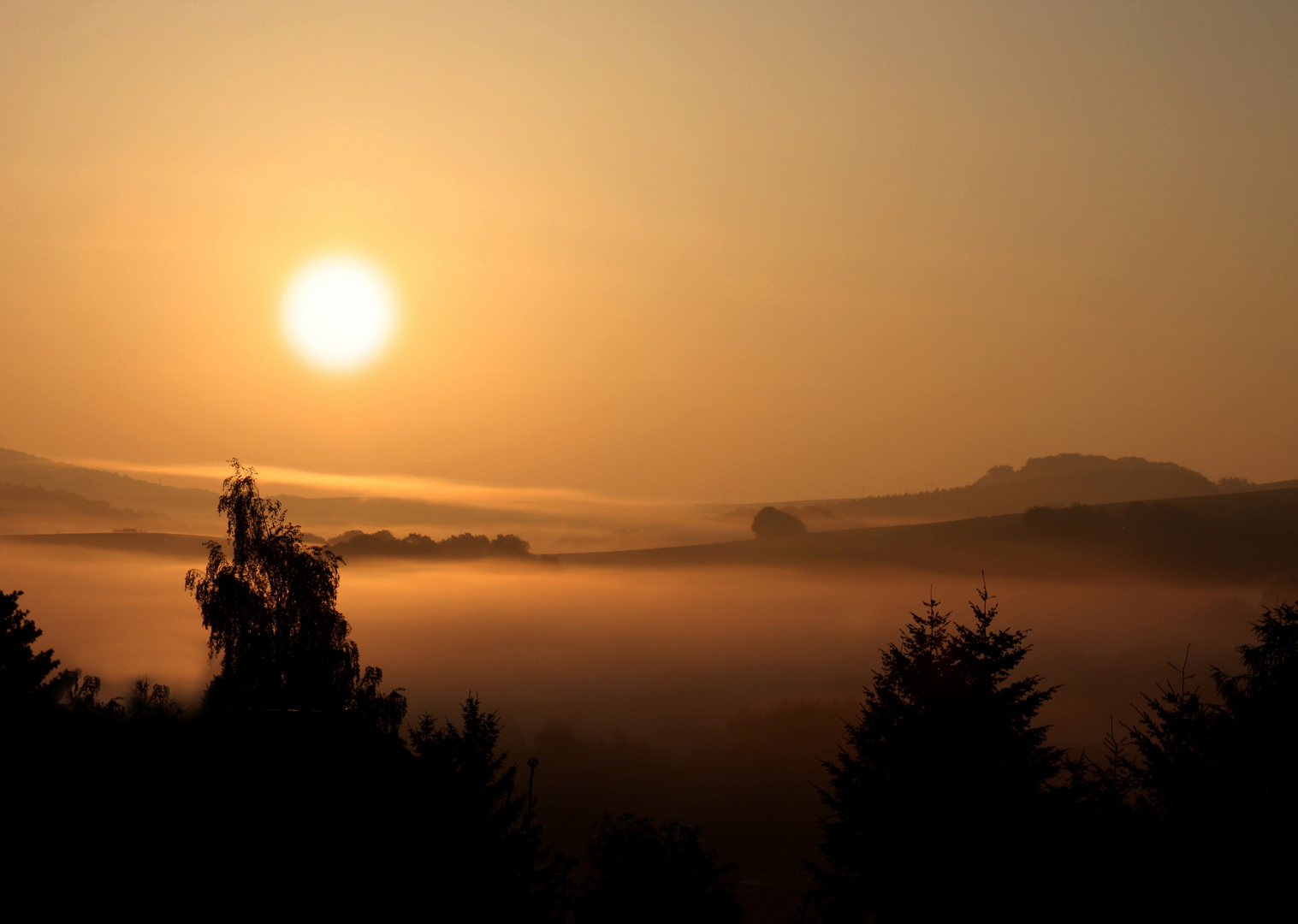 Sonne und Nebel