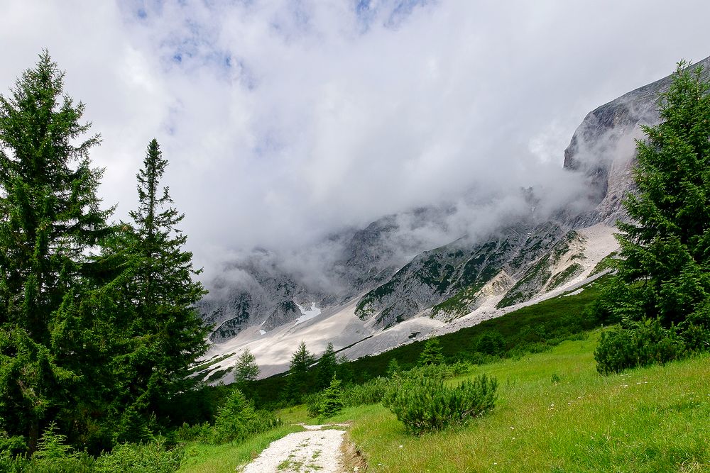 Sonne und Nebel hinter dem Alplhaus