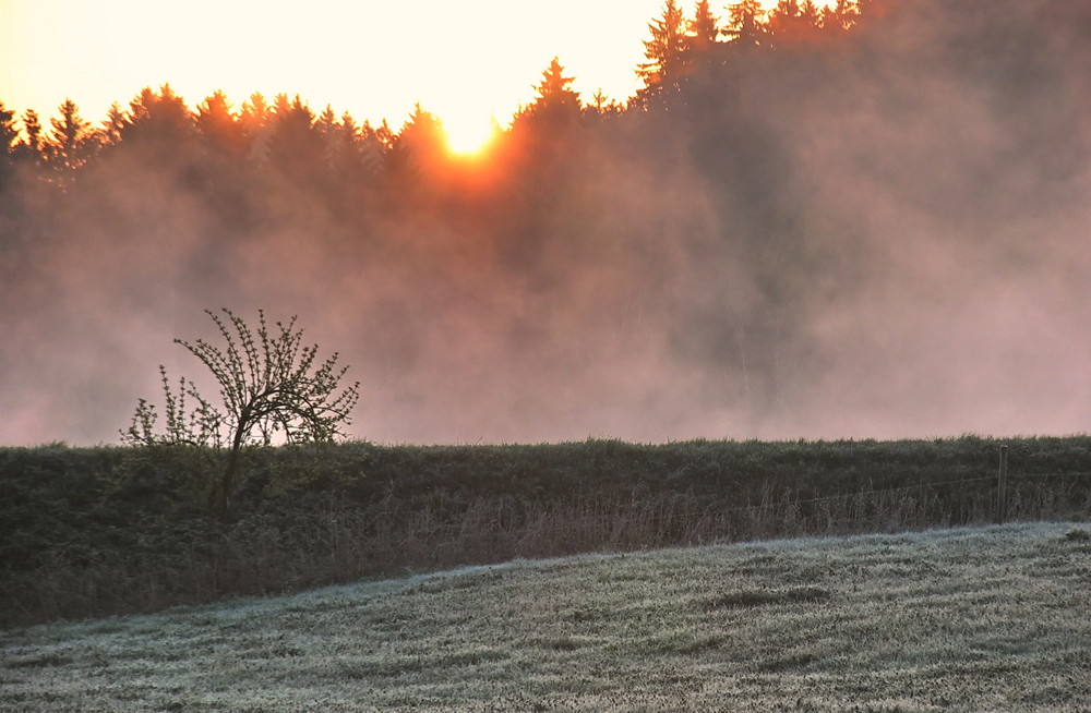 Sonne und Nebel im Zweikampf