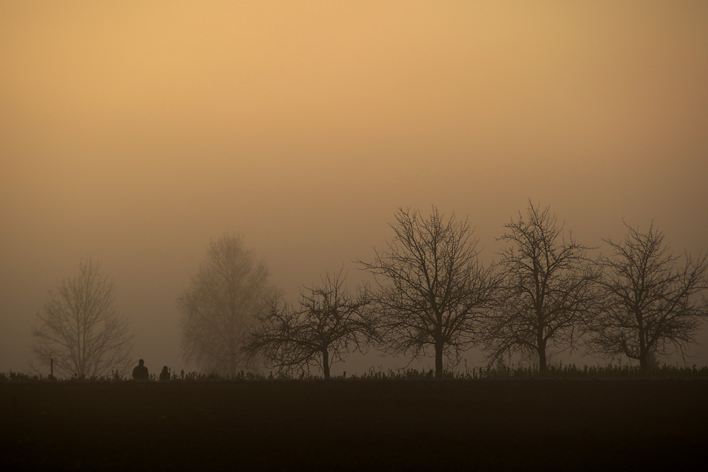 Sonne und Nebel-Mix