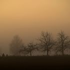 Sonne und Nebel-Mix