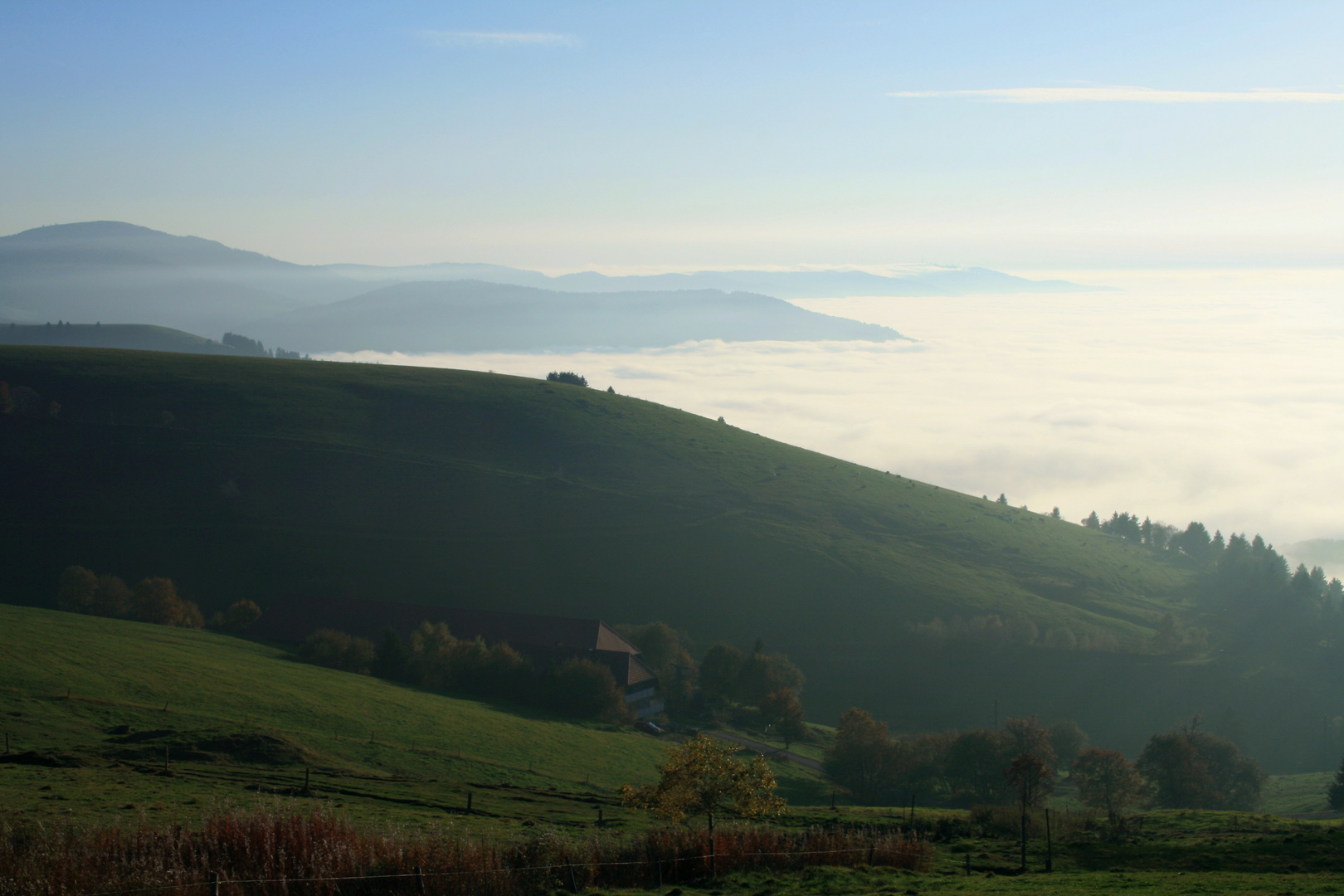 Sonne und Nebel, so ist der Herbst