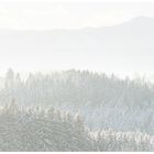 Sonne und Nebel - Winter Highkey
