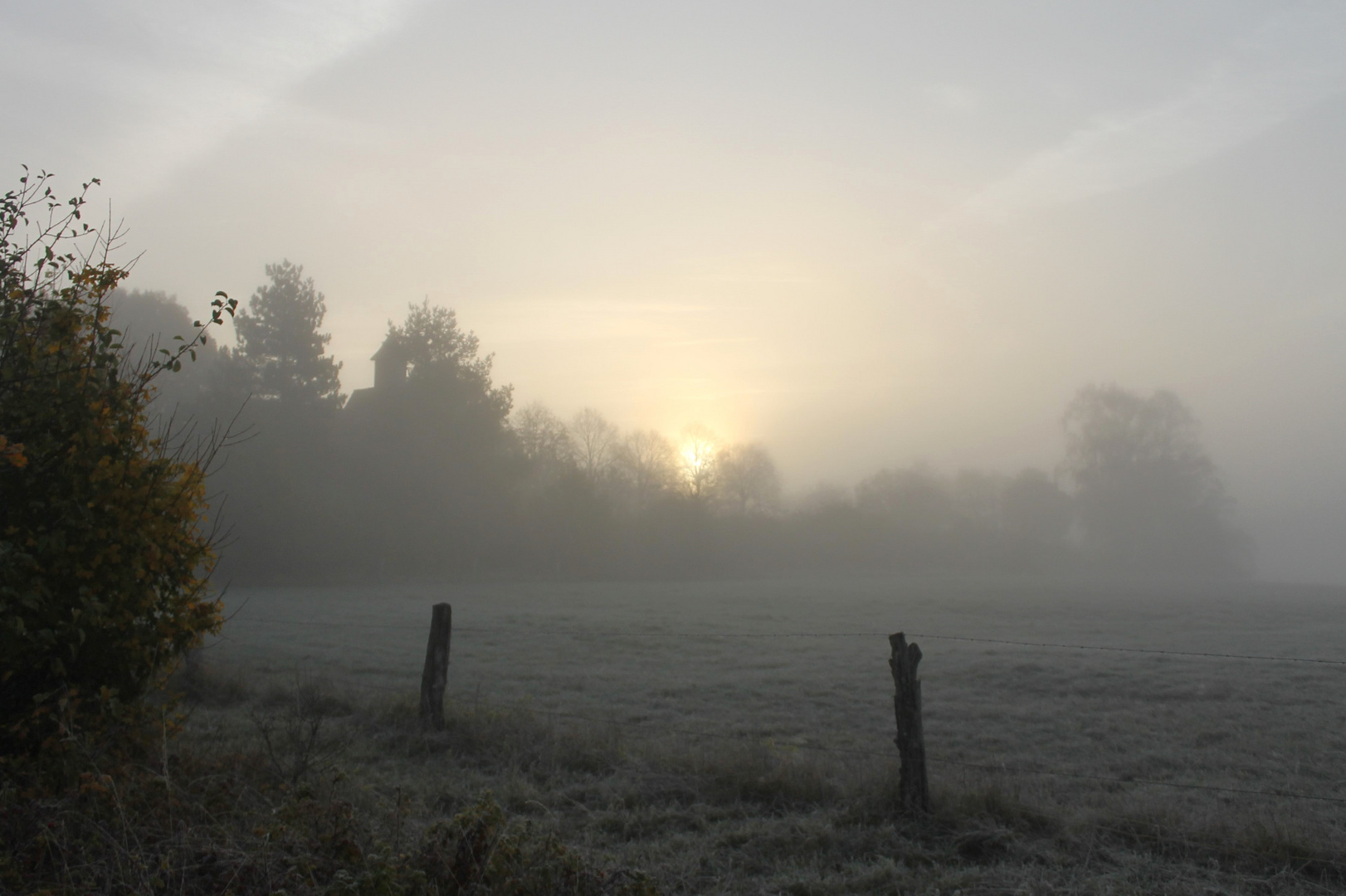 Sonne und Nebel zum Sonntag