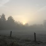 Sonne und Nebel zum Sonntag