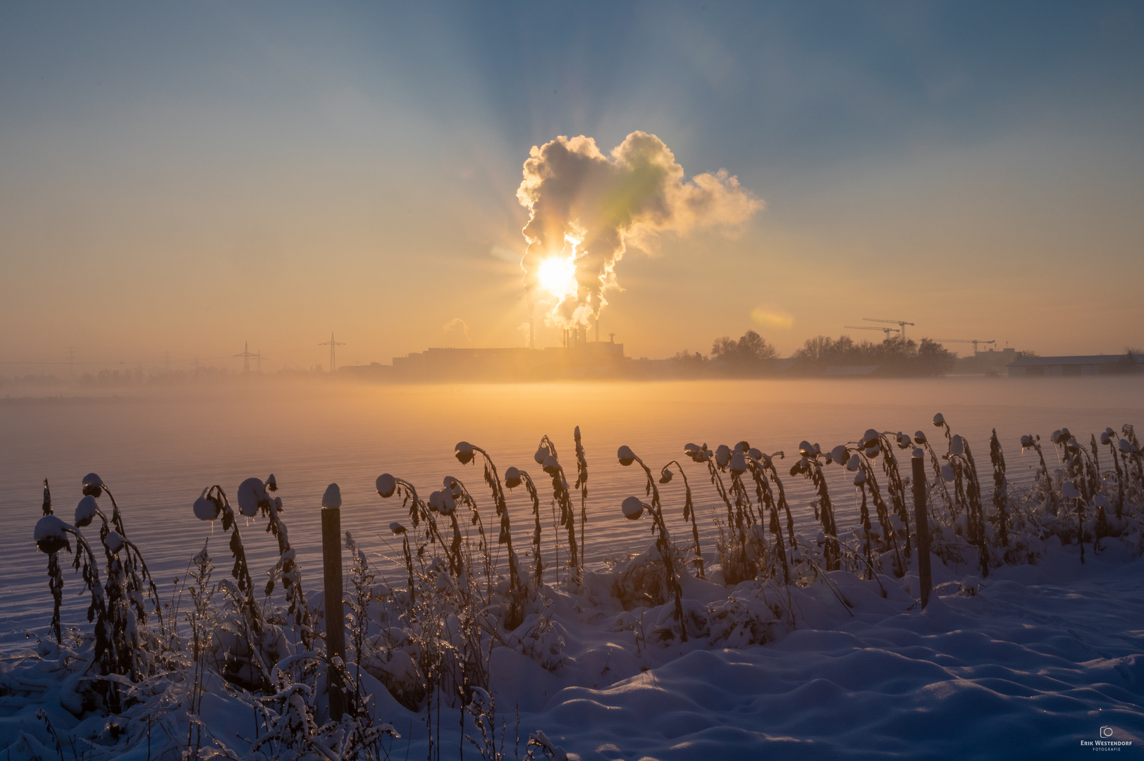 Sonne und Rauch