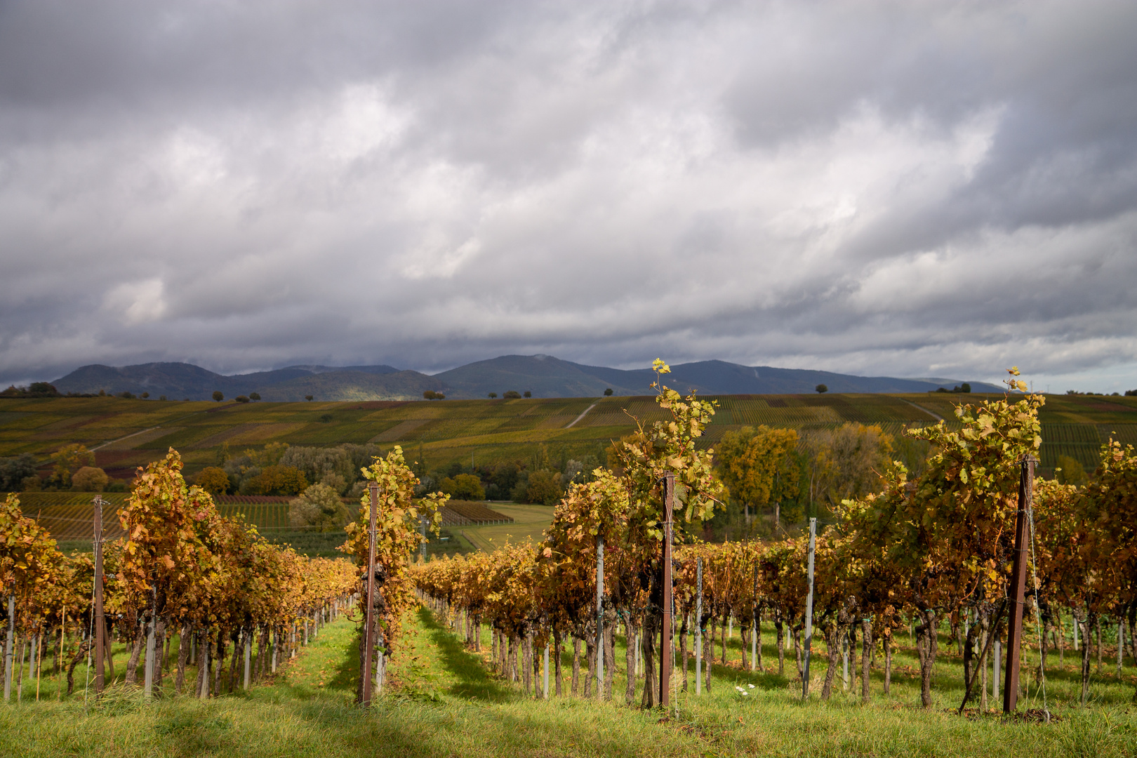 Sonne und Regen (2)