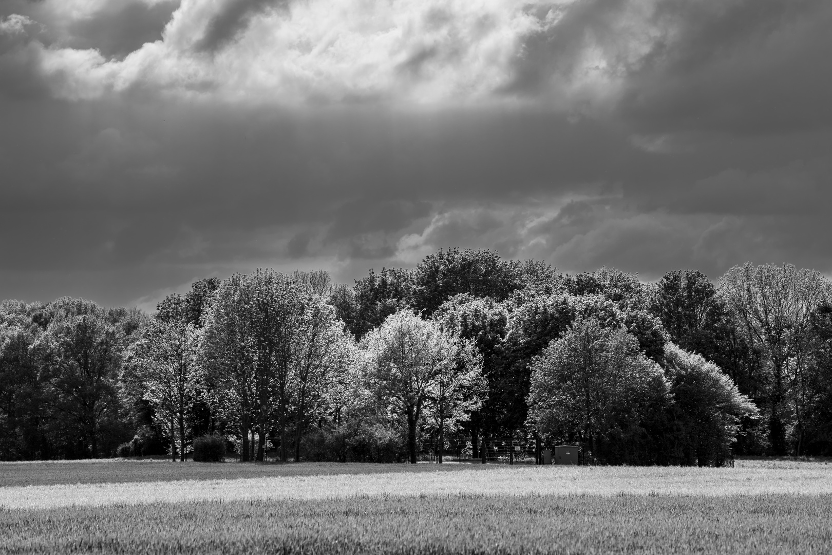 Sonne und Regen