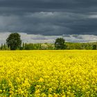 Sonne und Regenwolken