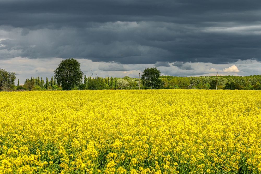 Sonne und Regenwolken