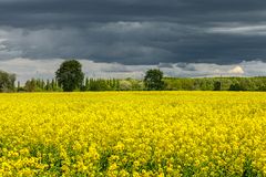 Sonne und Regenwolken