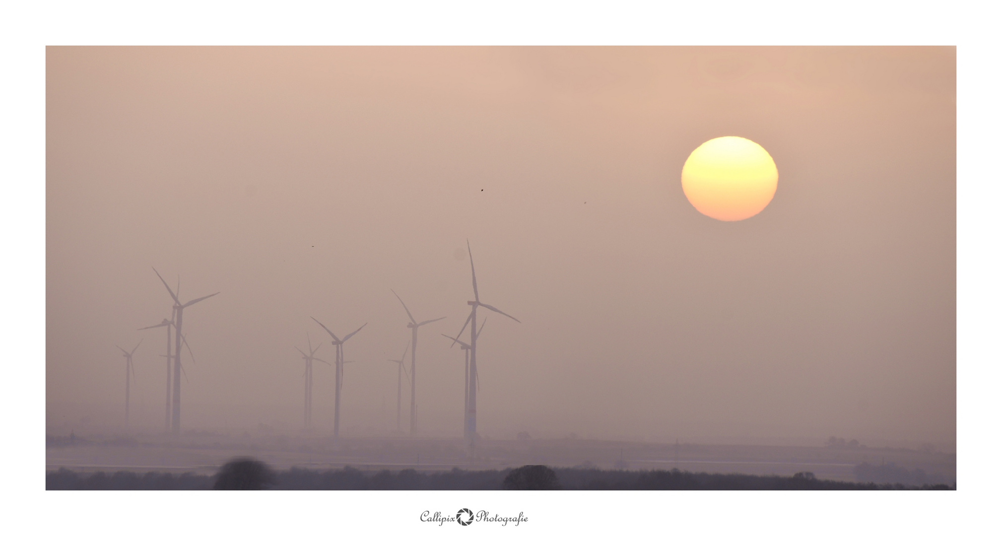 Sonne und Sahara-Sand