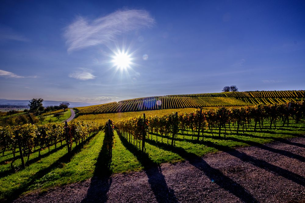 Sonne und Schatten 1 Foto & Bild deutschland, europe, baden