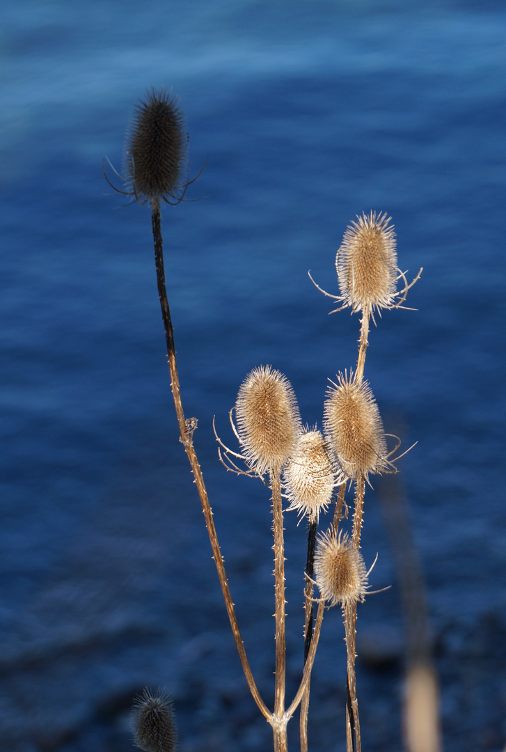 Sonne und Schatten