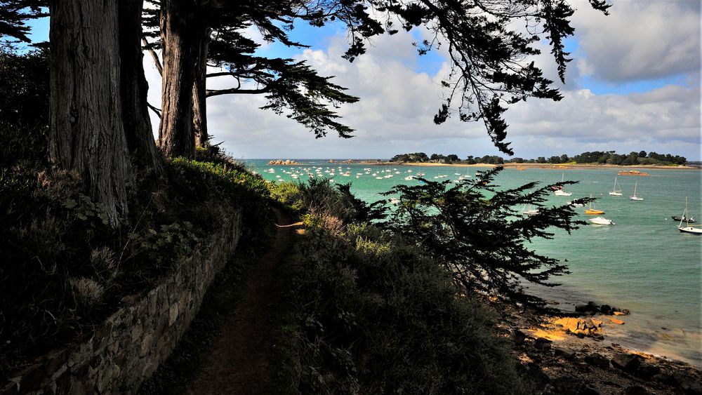 Sonne und Schatten.... Foto & Bild | europe, france, landschaft Bilder