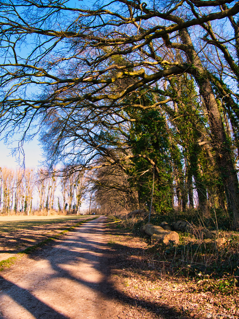 Sonne und Schatten