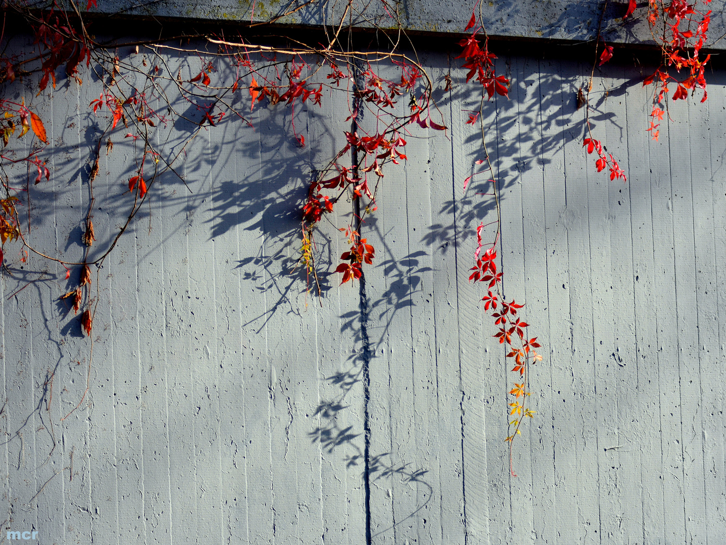 Sonne und Schatten