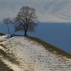 Sonne und Schatten - Frühling und Winter