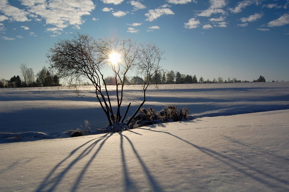 sonne und schatten I