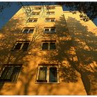 Sonne und Schatten im Herbst