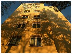 Sonne und Schatten im Herbst