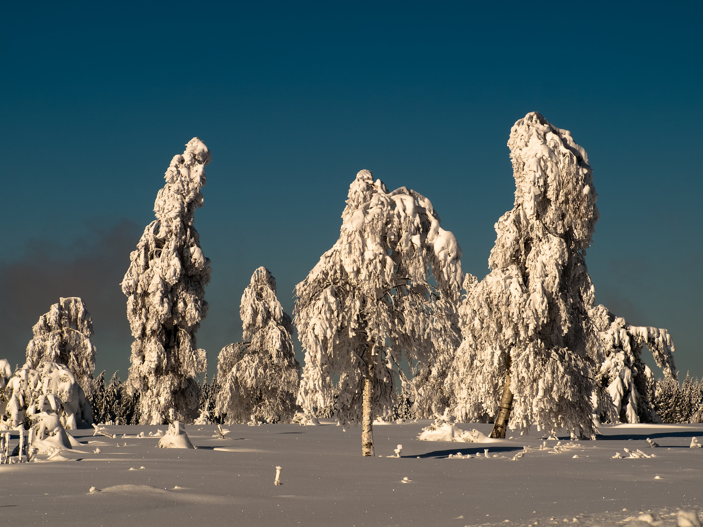 Sonne und Schnee