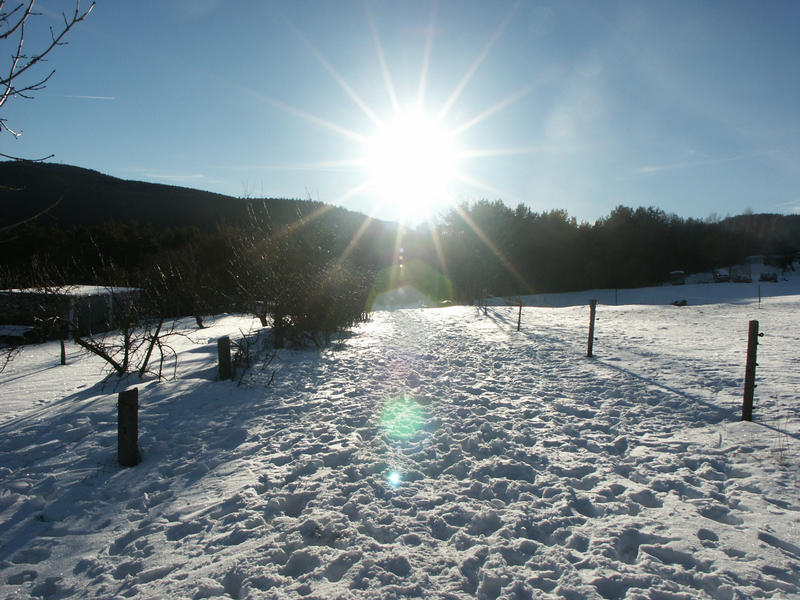 Sonne und Schnee