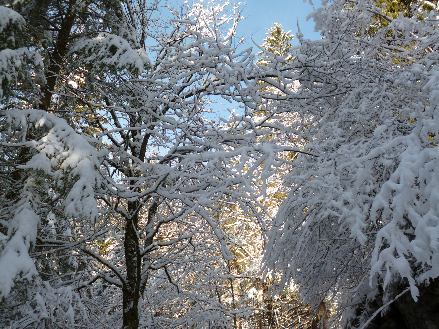 sonne und schnee