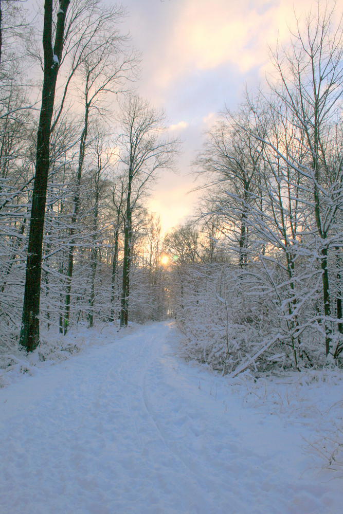 Sonne und Schnee