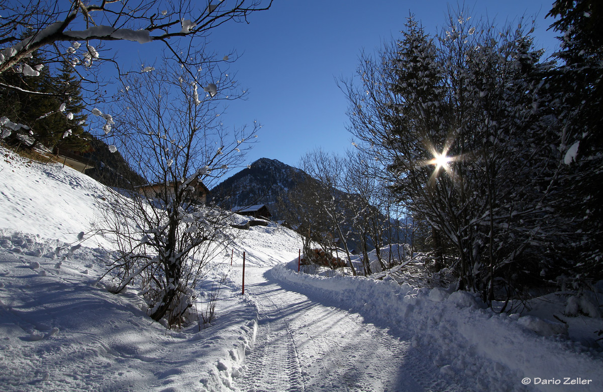 Sonne und Schnee