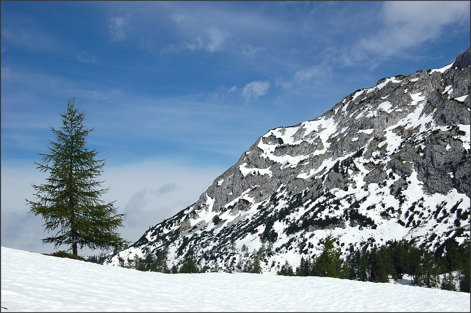 Sonne und Schnee...