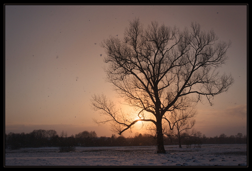 Sonne und Schnee