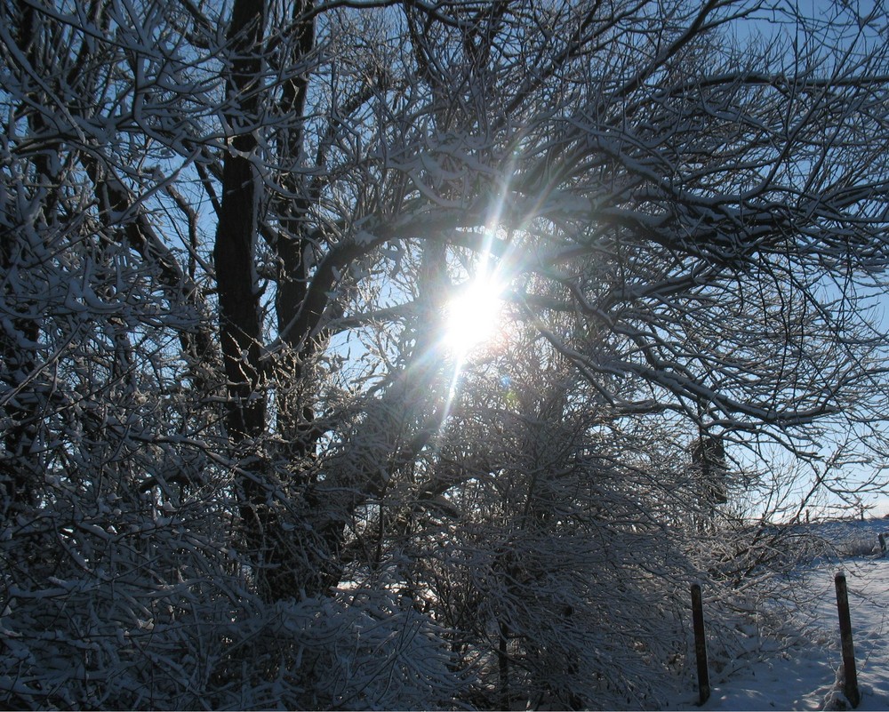 sonne und schnee