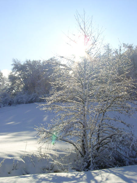 Sonne und Schnee