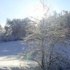 Sonne und Schnee