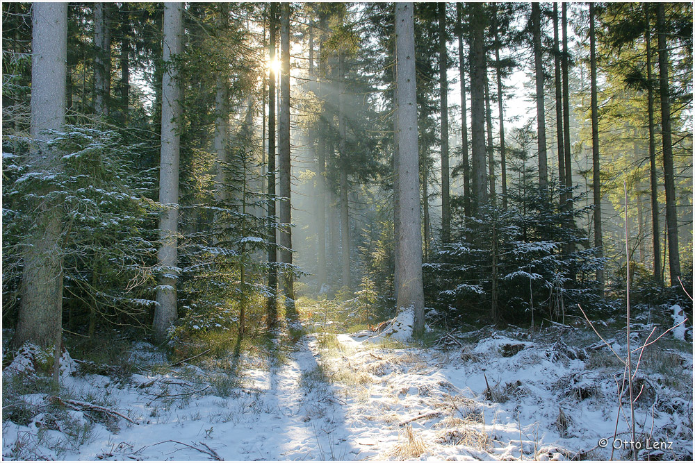 Sonne und Schnee